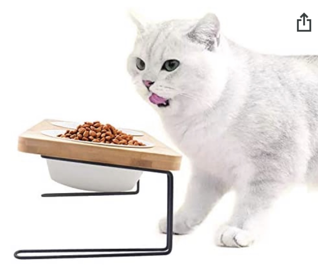 FUKUMARU「犬猫用スタンド付きセラミック食器 15度の角度つき」