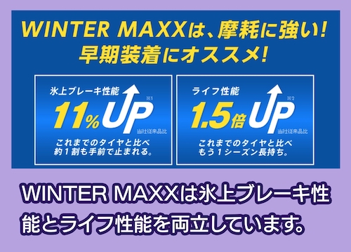 WINTER MAXX