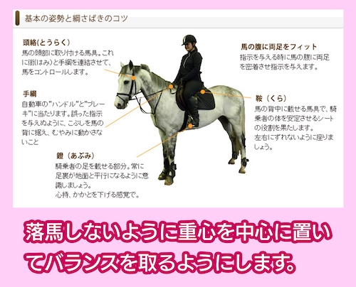 京都乗馬クラブ 基本の姿勢と綱さばきのコツ