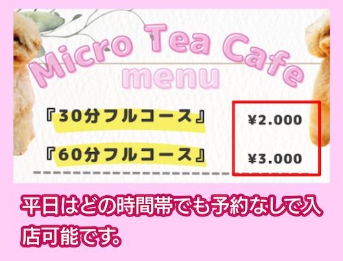 Micro Tea Cup Cafeの料金相場
